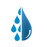 Rain Garden